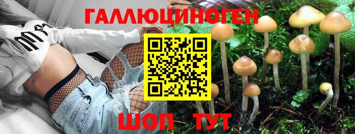 Галлюциногенные грибы Psilocybe  Вход с VPN  Галлюциногенные грибы ЛСД  Семёнов 