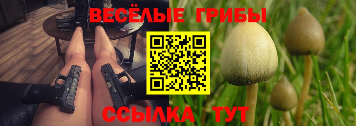 Галлюциногенные грибы GOLDEN TEACHER Семёнов